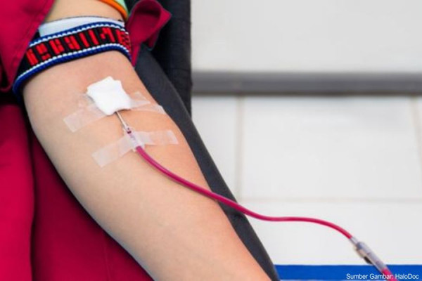 Bagaimana Caranya Kalau Mau Donor Darah?